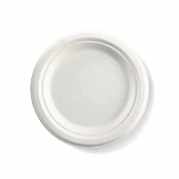 BioPak Sugarcane Plates - Image 13