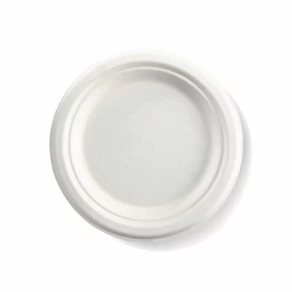 BioPak Sugarcane Plates - Image 5