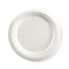 BioPak Sugarcane Plates - Image 14