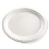BioPak Sugarcane Plates - Image 19