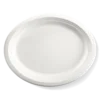 BioPak Sugarcane Plates - Image 10