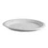 BioPak Sugarcane Plates - Image 3