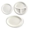 BioPak Sugarcane Plates