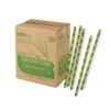 Envirostar Regular Paper Straws 6mm - Image 4