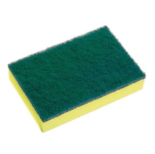 Sabco Professional Sponge Scourers (150 x 100mm)